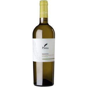 Vin Ita Piuma Salento 750ml Bco