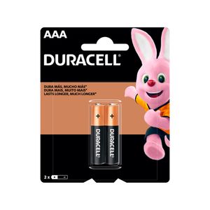 Pilha Duracell Alcalina Palito Aaa C/2