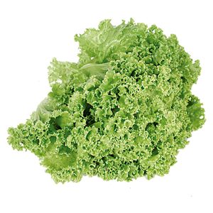 Alface Crespa Verde Facil 200g