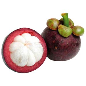 Mangostim Unidade
