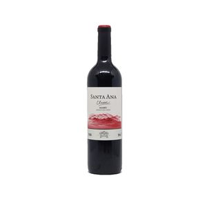 Vinho Arg Sta Ana 750ml Malbec Tto