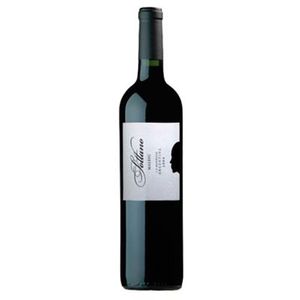 Vinho Arg Sottano 750ml Malbec Tto