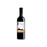 vinho-chi-valle-hermoso-750ml-syrah-tto