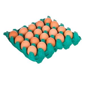 Ovos Becker Vermelho C/20