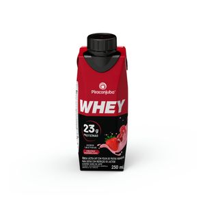 Bebida Lact.Piracanjuba 250ml F.Verm 23g