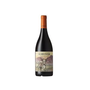 Vinho Afr Survivor 750ml C.Sauvignon Tto