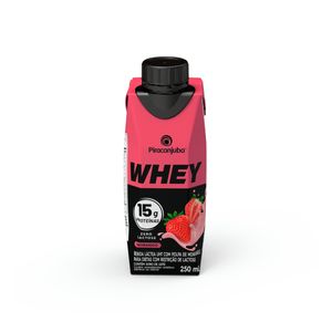 Bebida Lac.Piracanjuba 250ml W.Mor 15g