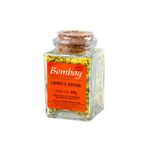 tempero-bombay-75g-limaoervas-vd