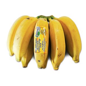 Banana Branca Orgânica 1,3kg