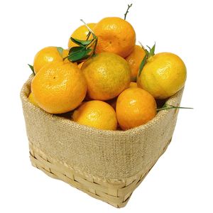 Laranja Montenegrina Embalagem 500g