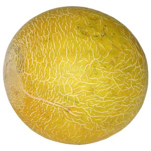 Melao Galia Unidade