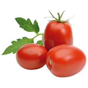 Tomate Italiano 500g