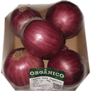 Cebola Roxa Rio Bonito 500g Org
