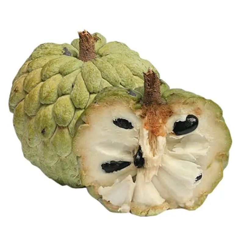 5622