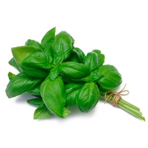 Manjericao Sabor E Saude 15g