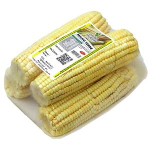 Milho Verde Nostra Pamonha Bandeja