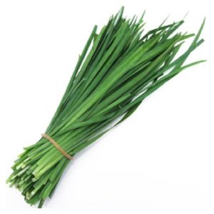 Cebolinha Sem Agrotóxico 100g