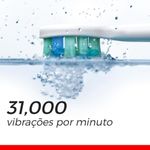 2083264-4.jpg