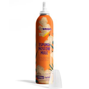 Espuma Preparada de Gengibre Easy Drinks 260g