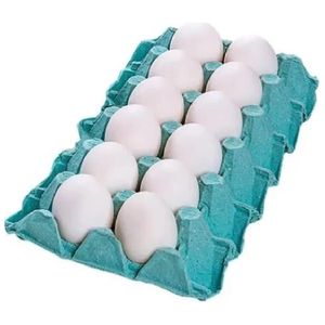 Ovos Branco Filippsen Com 12 Unidades